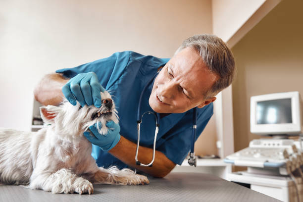 Best Emergency Broken Tooth Repair in Liberty, TX